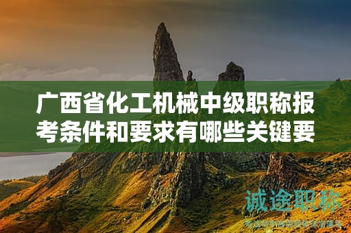 廣西省化工機(jī)械中級職稱報考條件和要求有哪些關(guān)鍵要素？如何滿足條件？