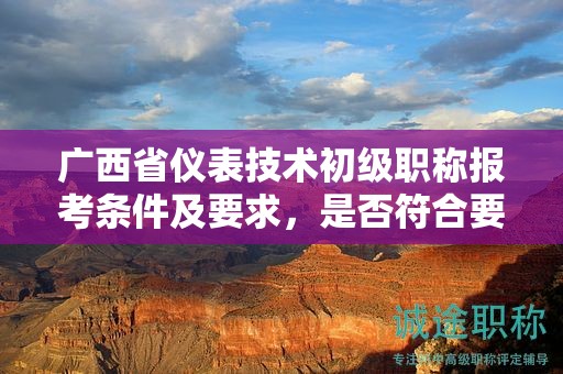 廣西省儀表技術(shù)初級職稱報考條件及要求，是否符合要求？