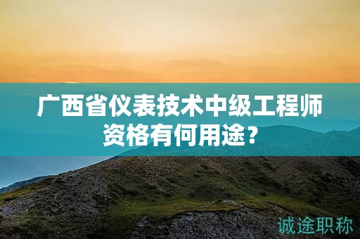 廣西省儀表技術(shù)中級(jí)工程師資格有何用途？