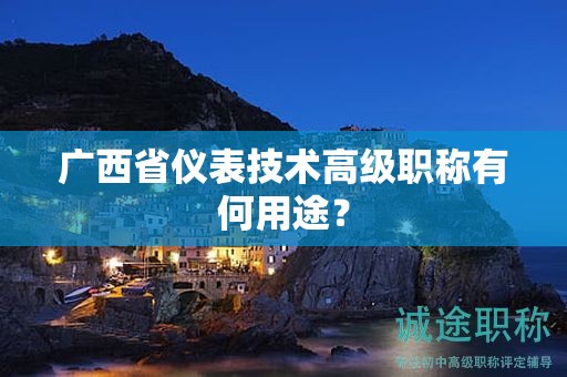 廣西省儀表技術高級職稱有何用途？