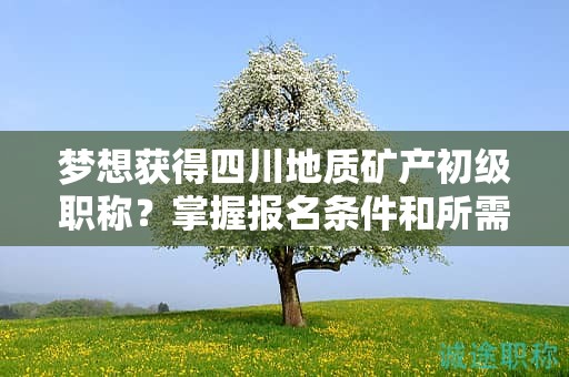 夢(mèng)想獲得四川地質(zhì)礦產(chǎn)初級(jí)職稱？掌握?qǐng)?bào)名條件和所需材料
