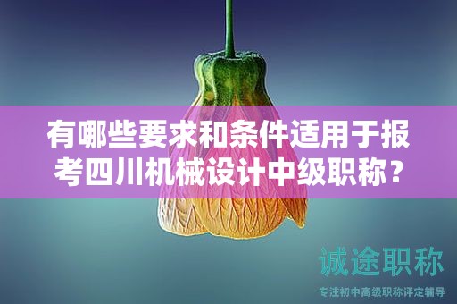有哪些要求和條件適用于報(bào)考四川機(jī)械設(shè)計(jì)中級(jí)職稱？了解申請(qǐng)?jiān)撀毞Q的條件和要求