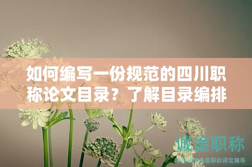 如何編寫一份規(guī)范的四川職稱論文目錄？了解目錄編排的要點