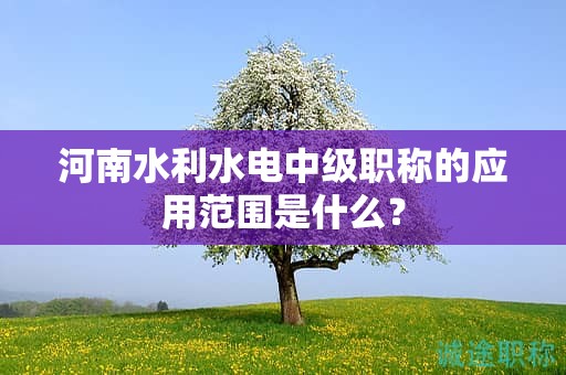 河南水利水電中級(jí)職稱的應(yīng)用范圍是什么？