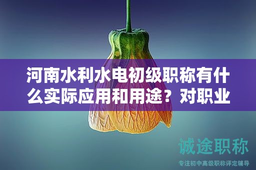 河南水利水電初級職稱有什么實際應用和用途？對職業(yè)發(fā)展有何幫助？