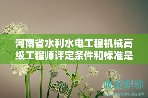 河南省水利水電工程機械高級工程師評定條件和標(biāo)準(zhǔn)是什么？有何要求？