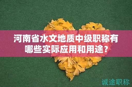 河南省水文地質(zhì)中級(jí)職稱有哪些實(shí)際應(yīng)用和用途？