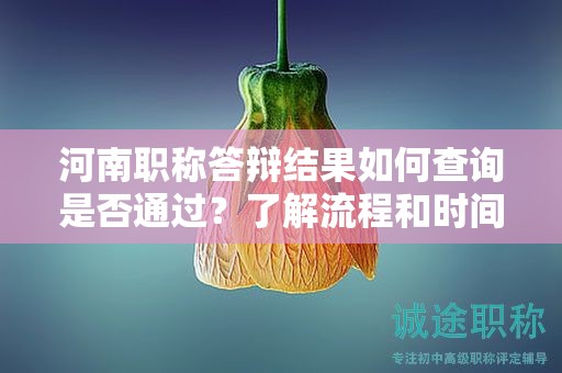 河南職稱答辯結果如何查詢是否通過？了解流程和時間點解析