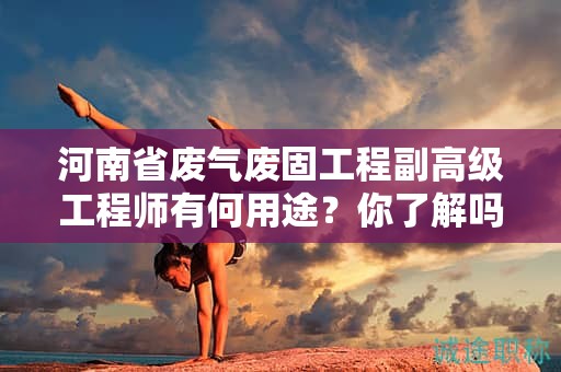 河南省廢氣廢固工程副高級(jí)工程師有何用途？你了解嗎？