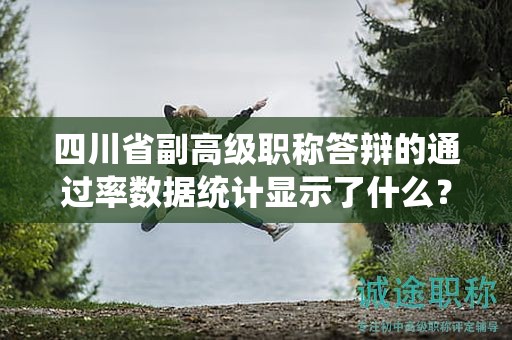 四川省副高級職稱答辯的通過率數(shù)據(jù)統(tǒng)計顯示了什么？