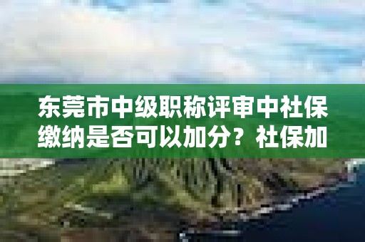 東莞市中級職稱評審中社保繳納是否可以加分？社保加分規(guī)則了解一下？