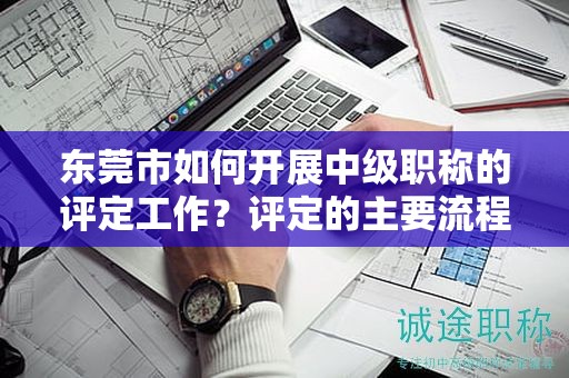 東莞市如何開展中級職稱的評定工作？評定的主要流程和要求是什么？