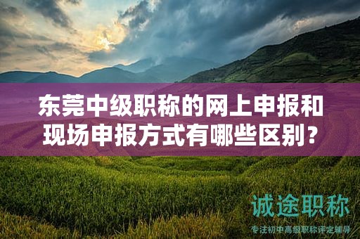 東莞中級職稱的網(wǎng)上申報(bào)和現(xiàn)場申報(bào)方式有哪些區(qū)別？如何選擇？
