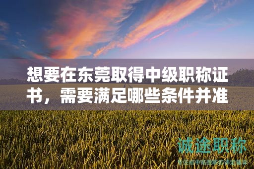 想要在東莞取得中級(jí)職稱證書，需要滿足哪些條件并準(zhǔn)備哪些證明材料？