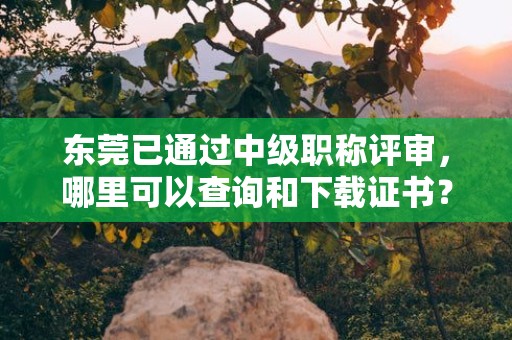 東莞已通過中級職稱評審，哪里可以查詢和下載證書？有哪些渠道？