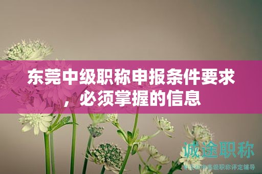 東莞中級職稱申報條件要求，必須掌握的信息