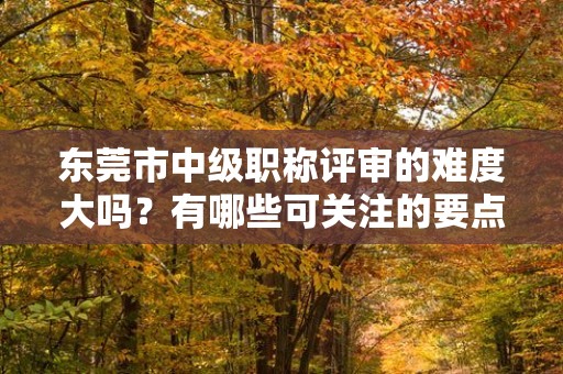東莞市中級職稱評審的難度大嗎？有哪些可關(guān)注的要點和技巧？