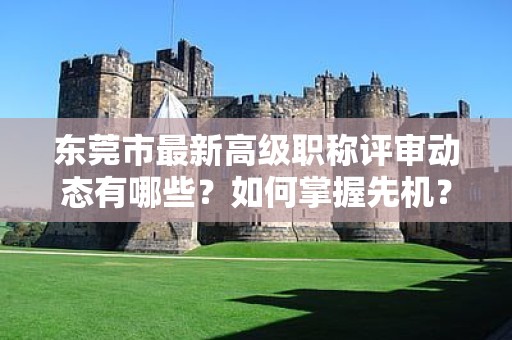 東莞市最新高級職稱評審動態(tài)有哪些？如何掌握先機？