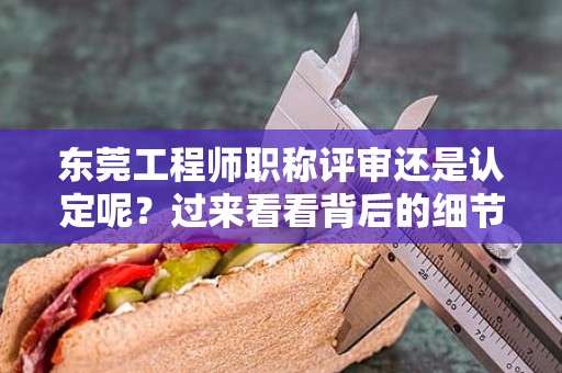 東莞工程師職稱評(píng)審還是認(rèn)定呢？過來(lái)看看背后的細(xì)節(jié)和流程