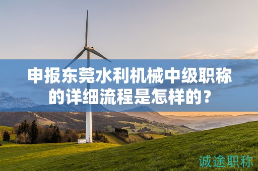 申報(bào)東莞水利機(jī)械中級(jí)職稱的詳細(xì)流程是怎樣的？