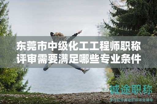 東莞市中級(jí)化工工程師職稱評(píng)審需要滿足哪些專業(yè)條件和要求？如何備考？
