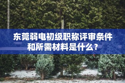 東莞弱電初級(jí)職稱評(píng)審條件和所需材料是什么？