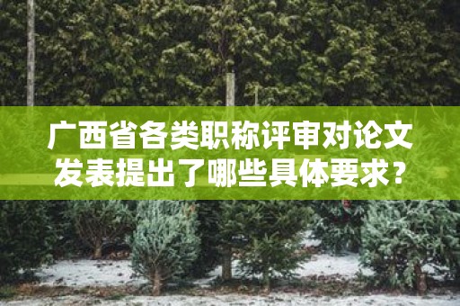 廣西省各類職稱評審對論文發(fā)表提出了哪些具體要求？內(nèi)容詳解