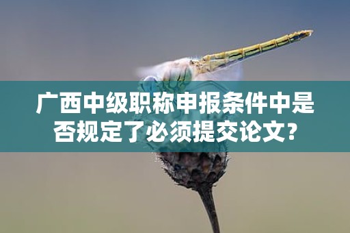 廣西中級(jí)職稱申報(bào)條件中是否規(guī)定了必須提交論文？