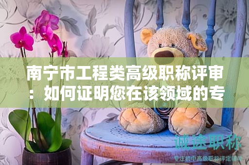 南寧市工程類高級職稱評審：如何證明您在該領(lǐng)域的專業(yè)能力？