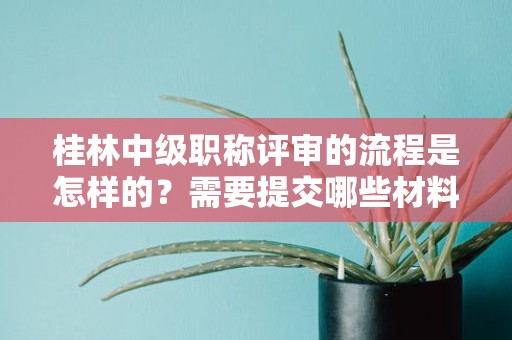 桂林中級職稱評審的流程是怎樣的？需要提交哪些材料？