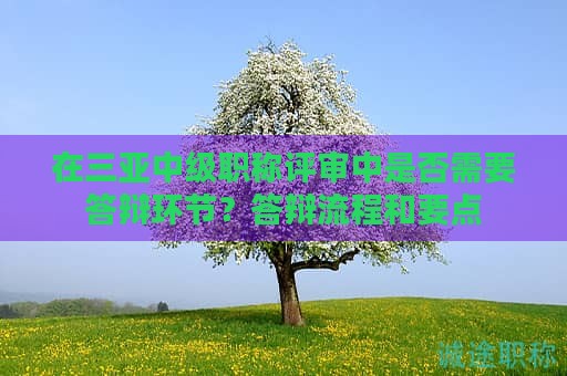 在三亞中級(jí)職稱評審中是否需要答辯環(huán)節(jié)？答辯流程和要點(diǎn)