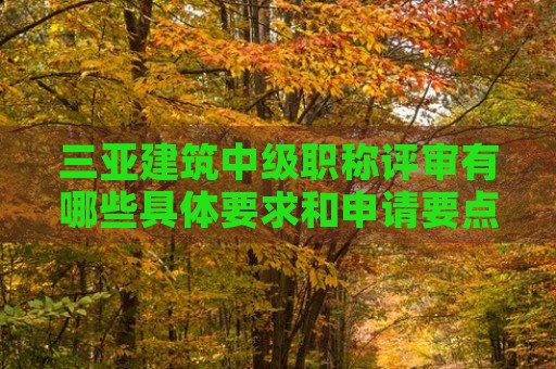 三亞建筑中級(jí)職稱(chēng)評(píng)審有哪些具體要求和申請(qǐng)要點(diǎn)？