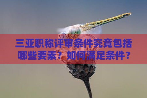 三亞職稱評審條件究竟包括哪些要素？如何滿足條件？