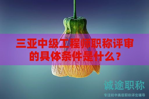三亞中級工程師職稱評審的具體條件是什么？