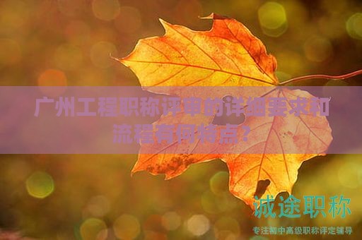 廣州工程職稱評(píng)審的詳細(xì)要求和流程有何特點(diǎn)？