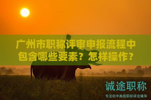 廣州市職稱評(píng)審申報(bào)流程中包含哪些要素？怎樣操作？