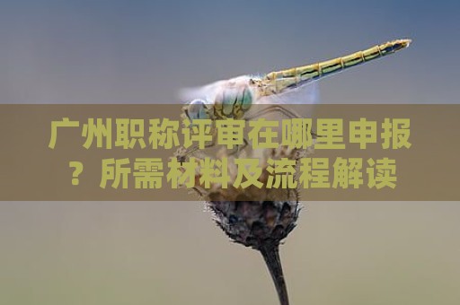 廣州職稱評(píng)審在哪里申報(bào)？所需材料及流程解讀