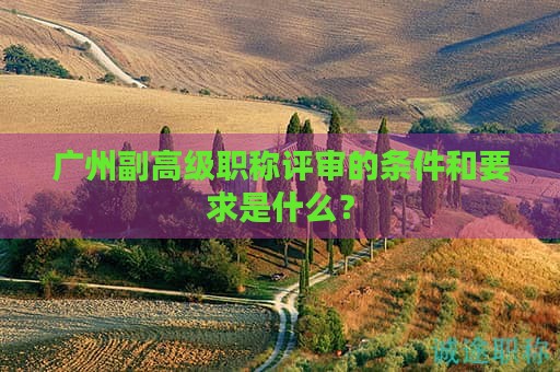 廣州副高級(jí)職稱(chēng)評(píng)審的條件和要求是什么？