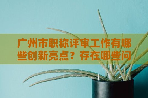 廣州市職稱評審工作有哪些創(chuàng)新亮點？存在哪些問題？