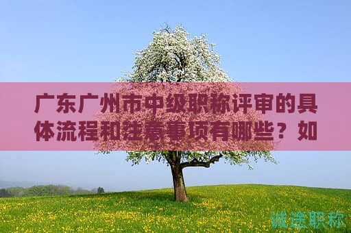 廣東廣州市中級(jí)職稱(chēng)評(píng)審的具體流程和注意事項(xiàng)有哪些？如何備考？
