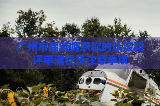廣州市建筑師職稱的認(rèn)定和評審流程及注意事項(xiàng)