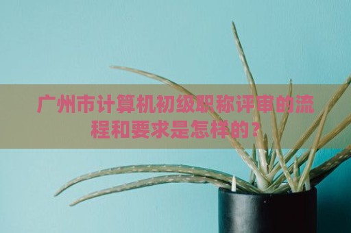 廣州市計算機初級職稱評審的流程和要求是怎樣的？