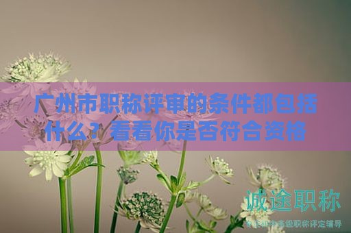 廣州市職稱評審的條件都包括什么？看看你是否符合資格
