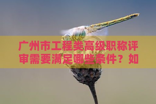 廣州市工程類高級職稱評審需要滿足哪些條件？如何做好準(zhǔn)備？