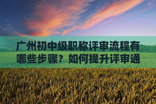 廣州初中級職稱評審流程有哪些步驟？如何提升評審?fù)ㄟ^率？