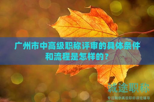 廣州市中高級(jí)職稱評(píng)審的具體條件和流程是怎樣的？