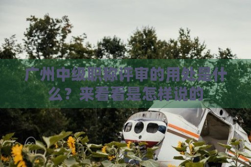 廣州中級職稱評審的用處是什么？來看看是怎樣說的