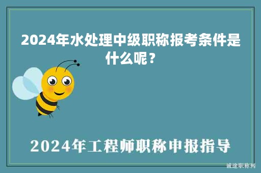 2024年水處理中級職稱報考條件是什么呢？