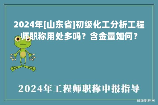 2024年[山東省]初級(jí)化工分析工程師職稱(chēng)用處多嗎？含金量如何？
