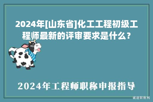 2024年[山東省]化工工程初級工程師最新的評審要求是什么？